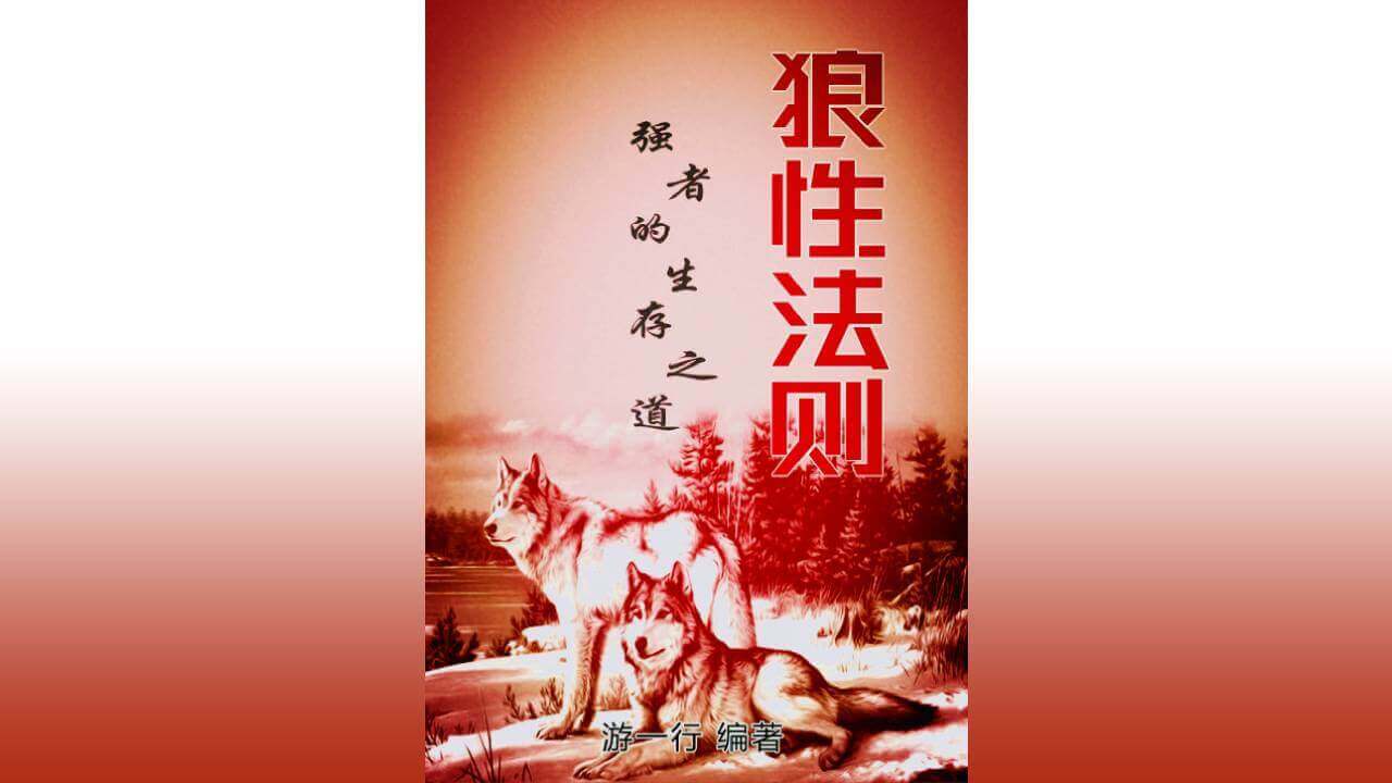 创业学习狼的精神,让你迅速强大起来,《狼性法则》读书笔记