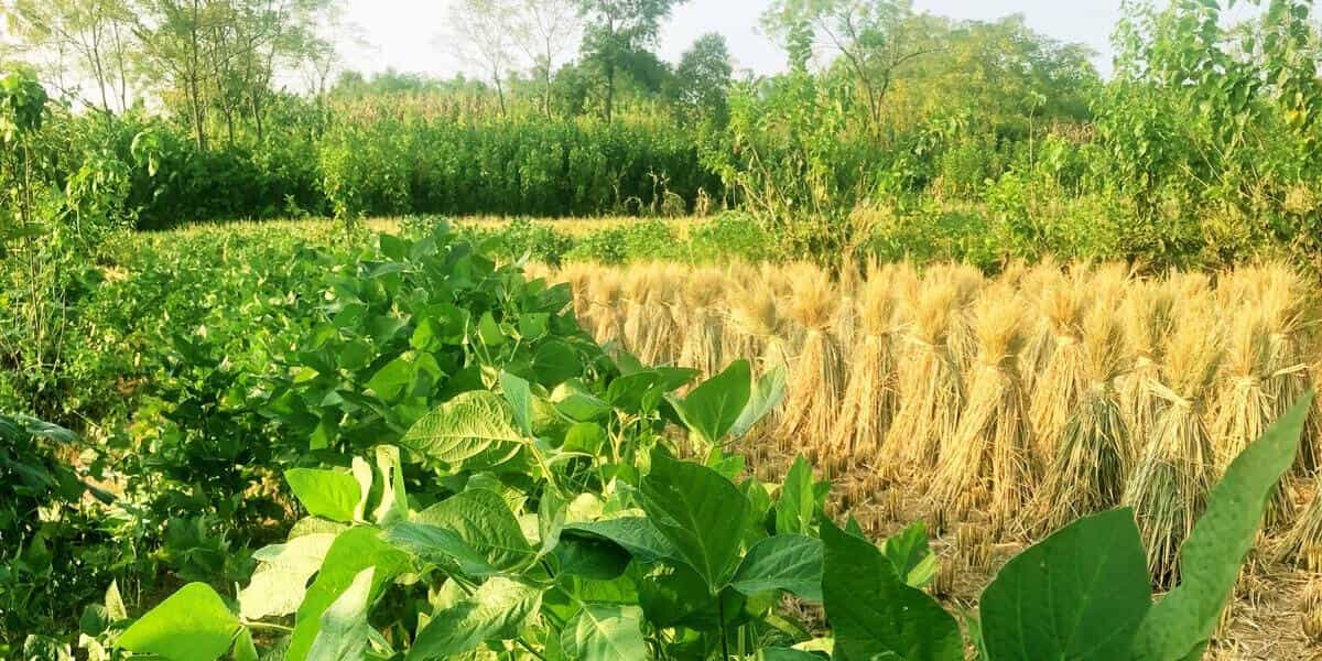 2019年夏天已过,今天穿短袖有点冷